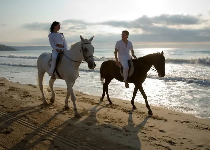 оазис 2* Албена